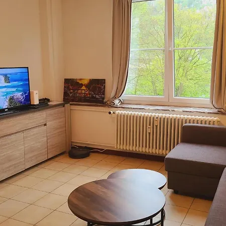 Hebergement Basique Et Fonctionnel Bon Rapport Qualite Prix Apartment *