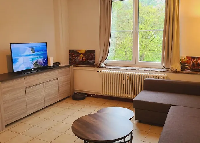 Hebergement Basique Et Fonctionnel Bon Rapport Qualite Prix Apartment *